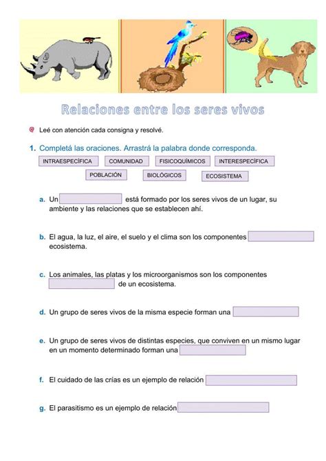 258166 Ficha Relaciones Entre Los Seres Vivos Silvia