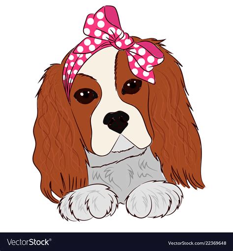 Puppy cavalier king charles spaniel hand drawing Vector Image