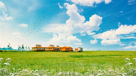 Grass Field Background Download Free | Banner Background Image on ...