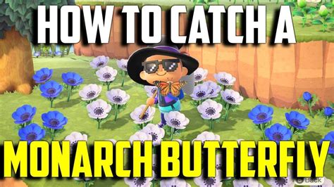 How To Catch A Monarch Butterfly Monarch Butterfly Acnh Animal