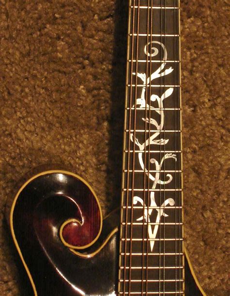 Post A Picture Of Your Vine Inlays Guitar Inlay Inlay Vines