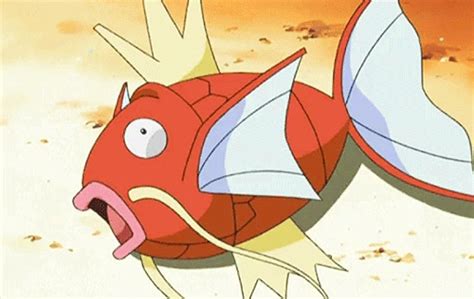 Pokemon myths: Making a splash, a la Magikarp | Principally Uncertain