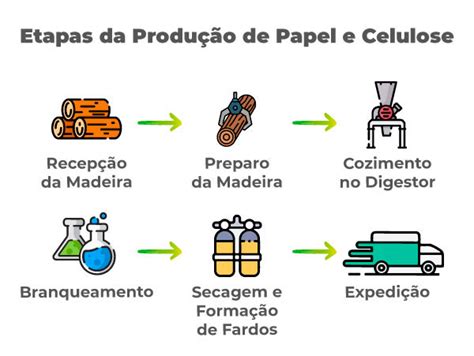 O Que Voc Precisa Saber Sobre O Setor De Papel E Celulose No Brasil