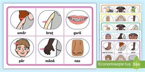 Corpul Omenesc Bingo Twinkl