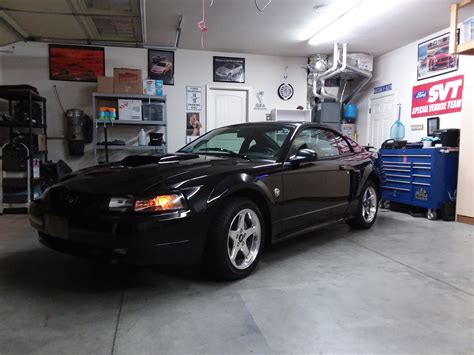 WTB: 2004 MUSTANG GT BLACK COUPE PREMIUM | SVTPerformance.com