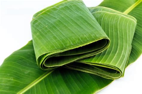 Why I Do Use Banana Leaf In Doing Hilot Massage Hilot Academy Of Binabaylan