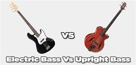 Bass Guitar Vs Double Bass Which One Is Better For You 47 Off