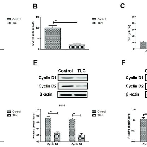 Effects of TUN treatment on glioma cell apoptosis. Cells were treated ... 