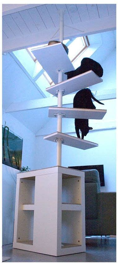 Diy Cat Tree Cat Trees Ikea Cat Le Castor Cat Gym Mirrors Film