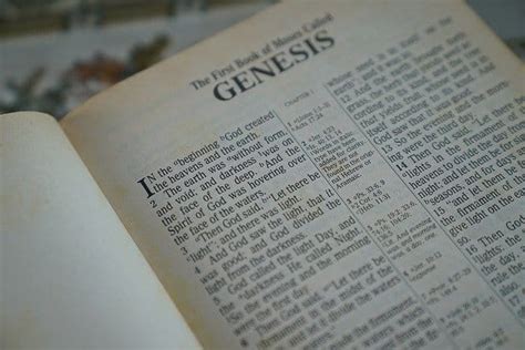 Summary Of Genesis – The Bible Brief