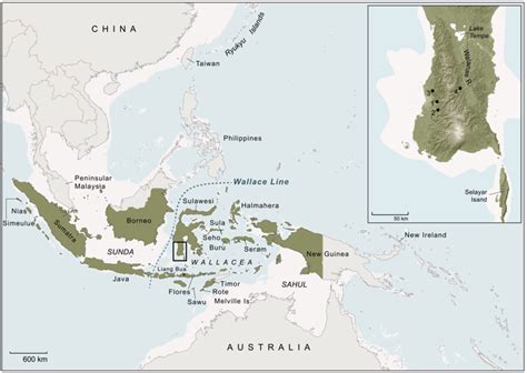 Island Southeast Asia and the wider region. Islands and provinces of ...