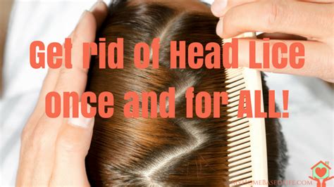 Finally How To Get Rid Of Head Lice Once And For All