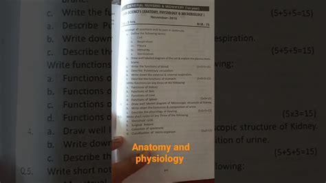 Anatomy Physiology Questions Papers Gnm St Year Nursing Gnm Medical