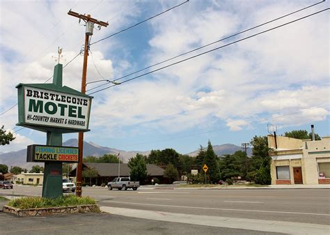 MOTEL | Bristlecone Motel