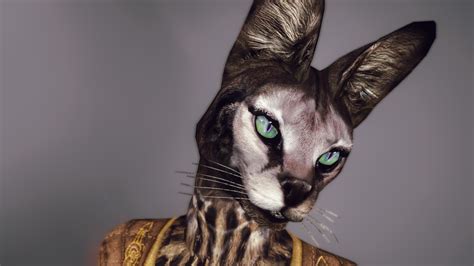 Hsue R Serval Khajiit Racemenu Preset At Skyrim Nexus Mods And