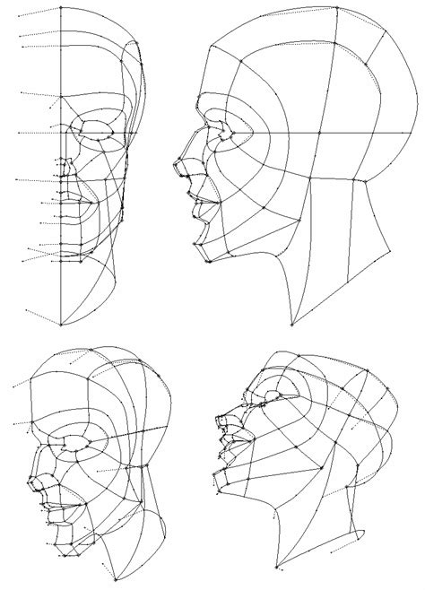 Three Different Angles Of The Head And Neck With Lines On Each Side Of