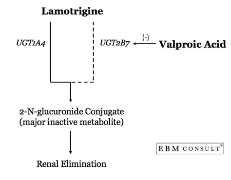 Valproate (Depakote; Depakene) Inhibition of Lamotrigine (Lamictal) and ...