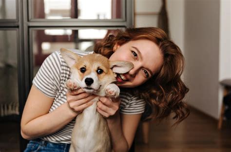 【プロ解説】子犬の甘噛みしつけ法知らないとヤバい効果的なしつけ方法と注意点を解説 犬のしつけ教室なら【東京dogs】褒める犬の