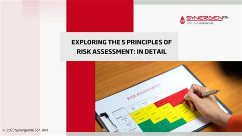 Exploring The 5 Principles Of Risk Assessment In Detail