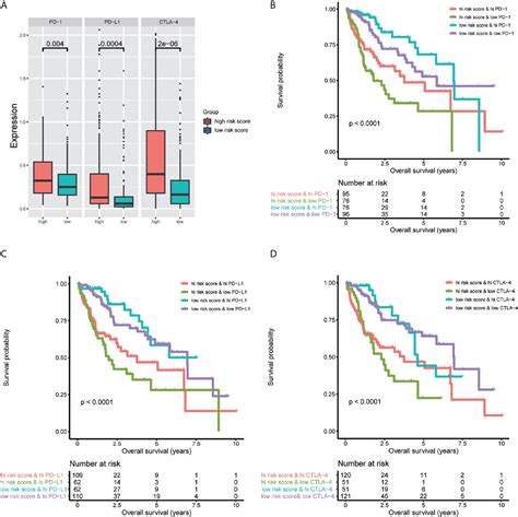 Frontiers Construction Of An Immune Related Six Lncrna Signature To