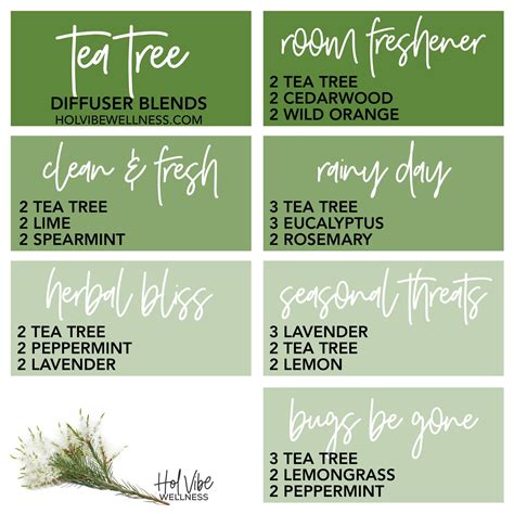 Essential Oils Guide Essential Oils Rosemary Essential Oil Uses