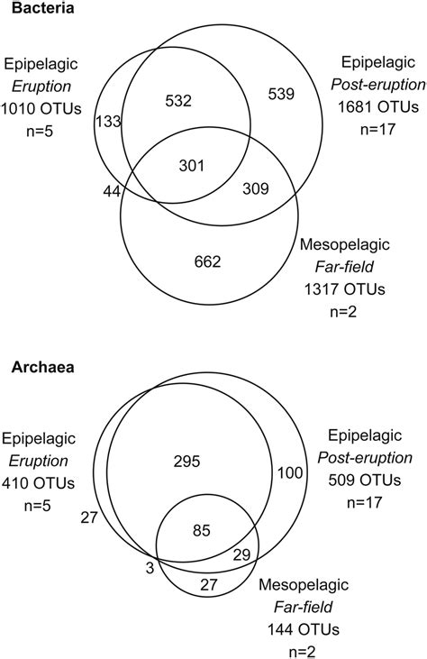 Venn Diagrams Of Shared 16s Rrna Gene Based Otus Between The Three