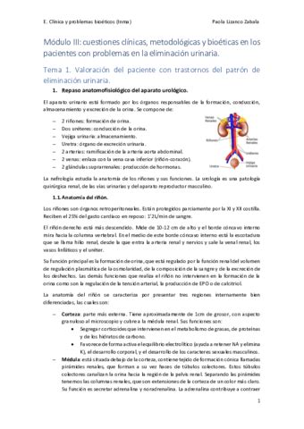 Modulo III Pdf