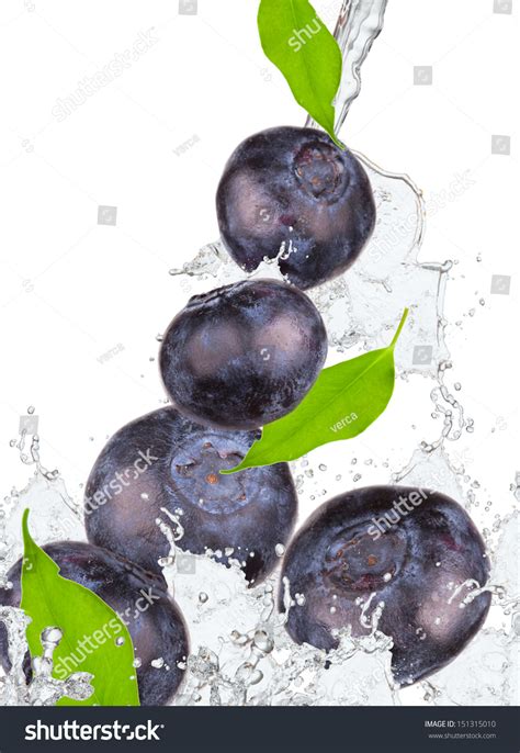 Blueberries And Leaf With Splash Isolated On White Stock Photo