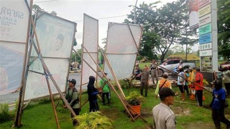 Rusak Estetika Kota Dlh Palopo Copot Baliho Caleg Pemilu Tribun