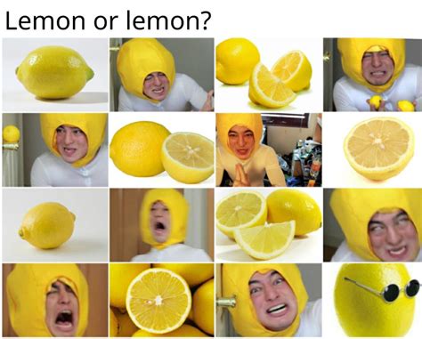 definitely lemon Fresh memes, Best memes, Memes - DaftSex HD