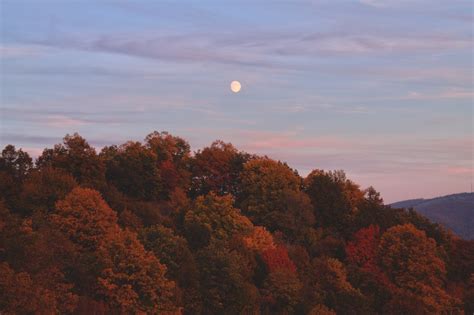 Free Images Landscape Tree Nature Mountain Cloud Sky Sunrise