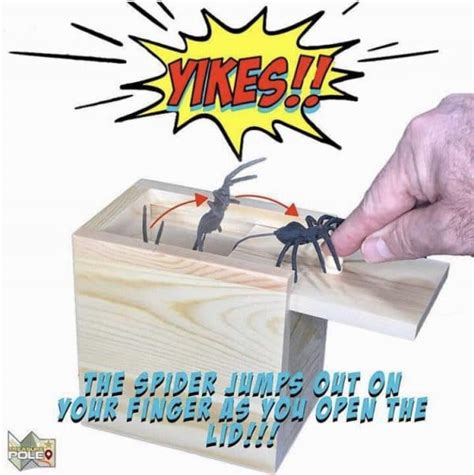 Prank Scare Spider - Buy Online 75% Off - Wizzgoo Store