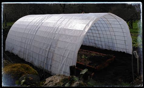 Cómo hacer un invernadero con malla de obra