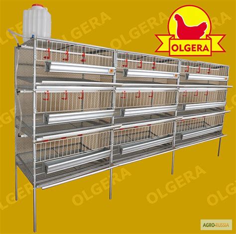 Продам клетки для кур несушек КН.3-48, купить клетки для кур несушек КН ...