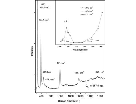 The Resonance Raman Spectrum Of Mo In Argon Matrix Excited At