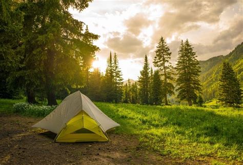 Lfeey 7x5ft Pine Forest Camping Background For Photography