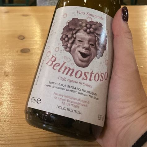 Azienda Agricola Fortunato Bressanelli Belmostoso Vino Spumante Review