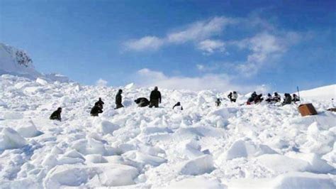 Soldier Missing After Avalanche In Siachen Rescued India Today