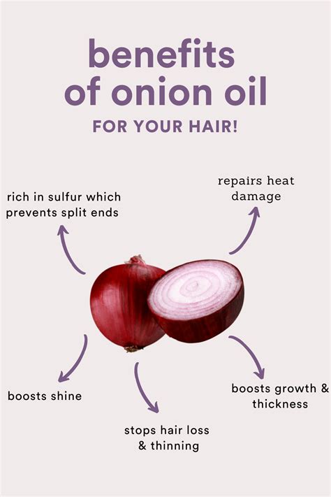 Benefits of Onion Oil For Hair Growth! | Onion oil for hair, Hair ...