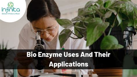 The Uses Of Enzymes In Fermentation Infinita Biotech