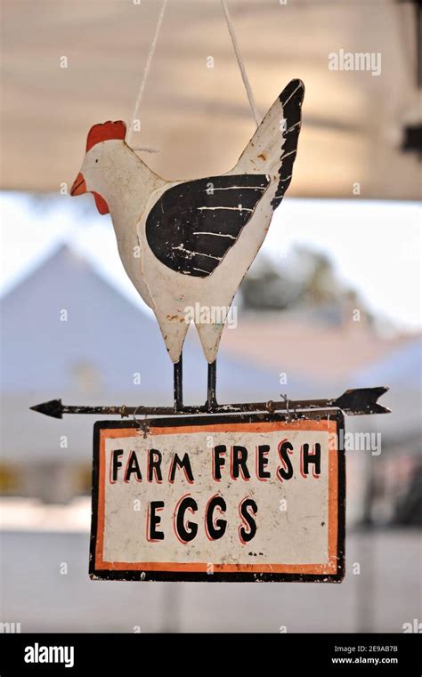 Chicken Poultry Truck Hi Res Stock Photography And Images Alamy