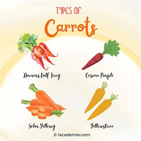 Types Of Carrots To Add To Your Menu In