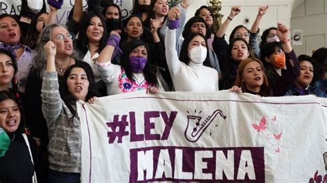 Claves Para Entender La Iniciativa De Ley Malena En Contra De La