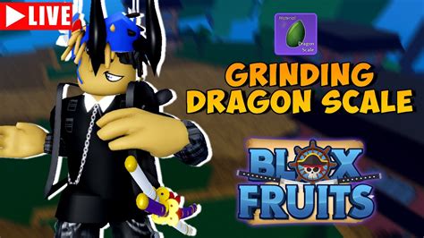 Grinding DRAGON SCALE Material Terakhir Untuk God Human Live Blox