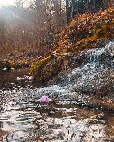 Une Escapade En Plein Air Pr S De Dijon Vous M Nera La Fontaine De