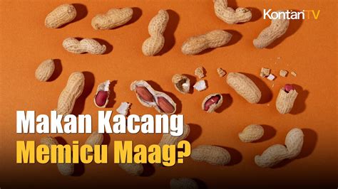 Makan Kacang Bisa Bikin Maag Kumat Kontan News