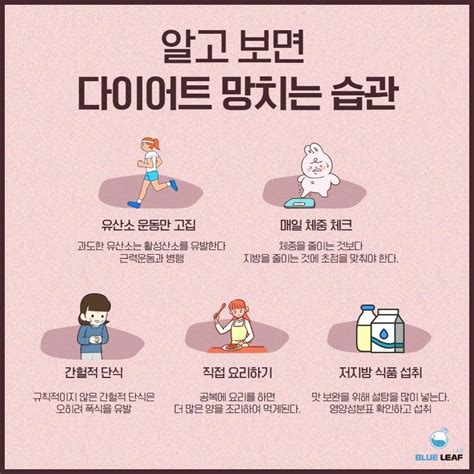 알고보면 다이어트를 망치는 의외의 습관 5가지 건강 지식 네모판