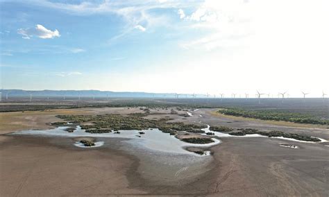 Coahuila Morelos y Querétaro reportan los niveles más bajos de agua en