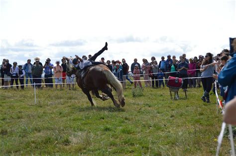 Foire De Brion Le 22 Juillet 2023 Vikinger