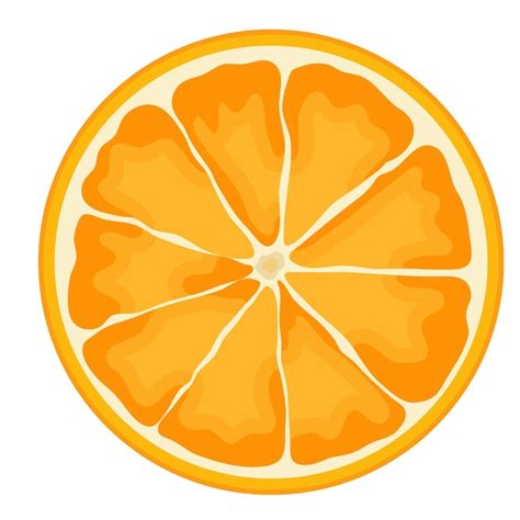 Premium Vector Mandarin Orange Sliced Vector Illustration